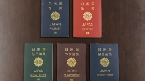 王楚钦以4-1击败林诗栋，WTT重庆男单赛巅峰对决落幕