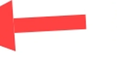 张之臻、商竣程宣布退出迈阿密大师赛网球赛事